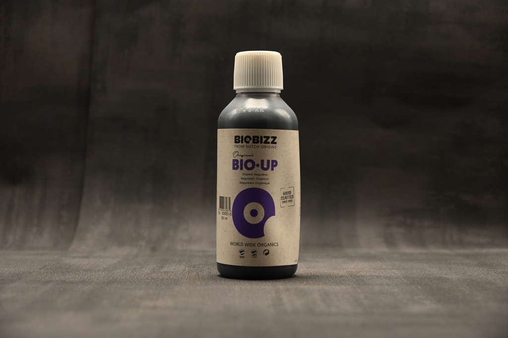BioBizz Bio-Up (pH+)