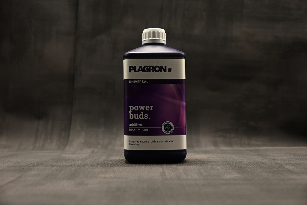 Plagron Power Buds