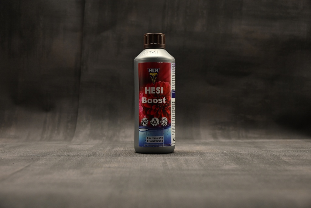 Hesi Boost