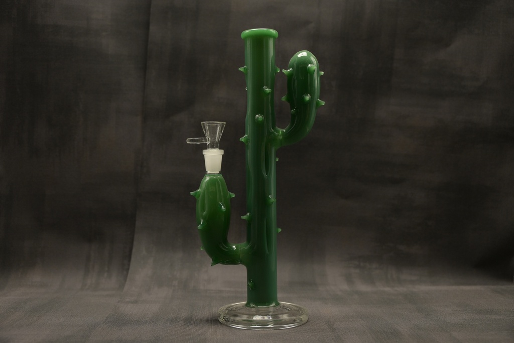 Black Leaf Kaktusbong grün