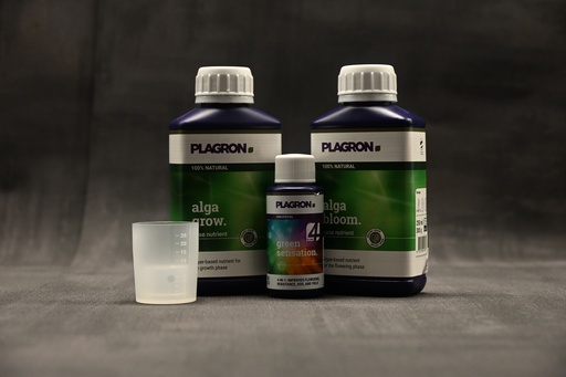 [P0000848] Plagron easy pack 100% Natural
