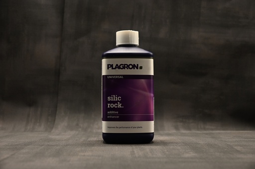 Plagron Silic Rock